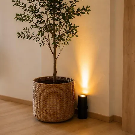 Luna Serene - Gym